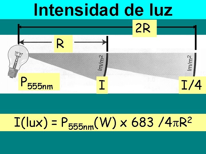 Intensidad de luz 2 R R P 555 nm I I(lux) = P 555