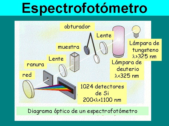 Espectrofotómetro obturador Lente muestra ranura red Lente Lámpara de tungsteno >325 nm Lámpara de