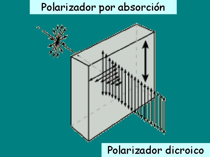 Polarizador por absorción Polarizador dicroico 