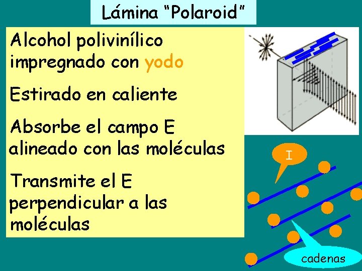 Lámina “Polaroid” Alcohol polivinílico impregnado con yodo Estirado en caliente Absorbe el campo E