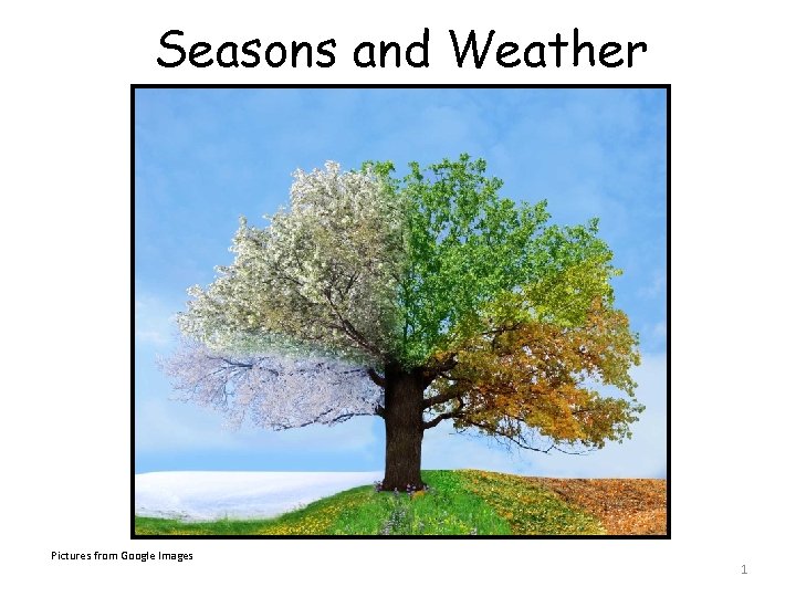 Seasons and Weather Pictures from Google Images 1 