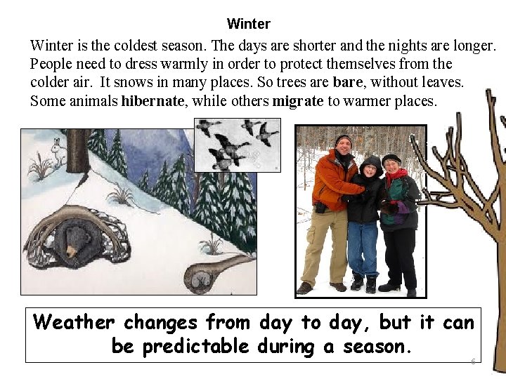 Winter is the coldest season. The days are shorter and the nights are longer.