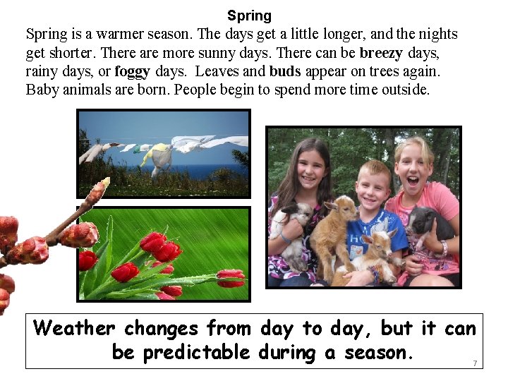 Spring is a warmer season. The days get a little longer, and the nights