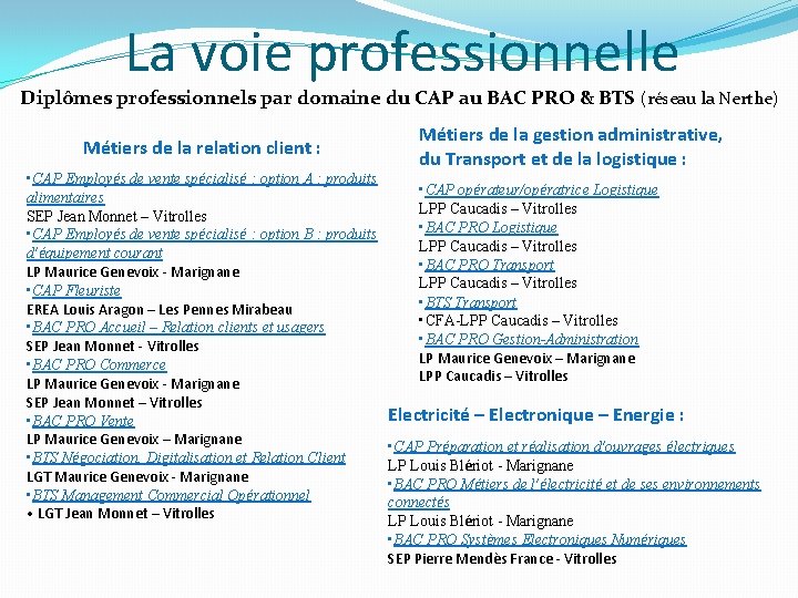 La voie professionnelle Diplômes professionnels par domaine du CAP au BAC PRO & BTS