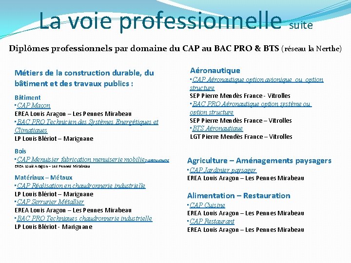 La voie professionnelle suite Diplômes professionnels par domaine du CAP au BAC PRO &