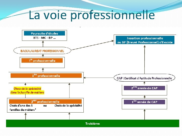 La voie professionnelle 