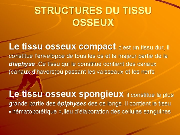 STRUCTURES DU TISSU OSSEUX Le tissu osseux compact c’est un tissu dur, il constitue
