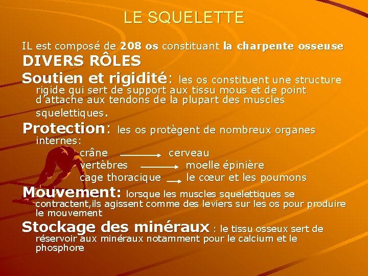 LE SQUELETTE IL est composé de 208 os constituant la charpente osseuse DIVERS RÔLES