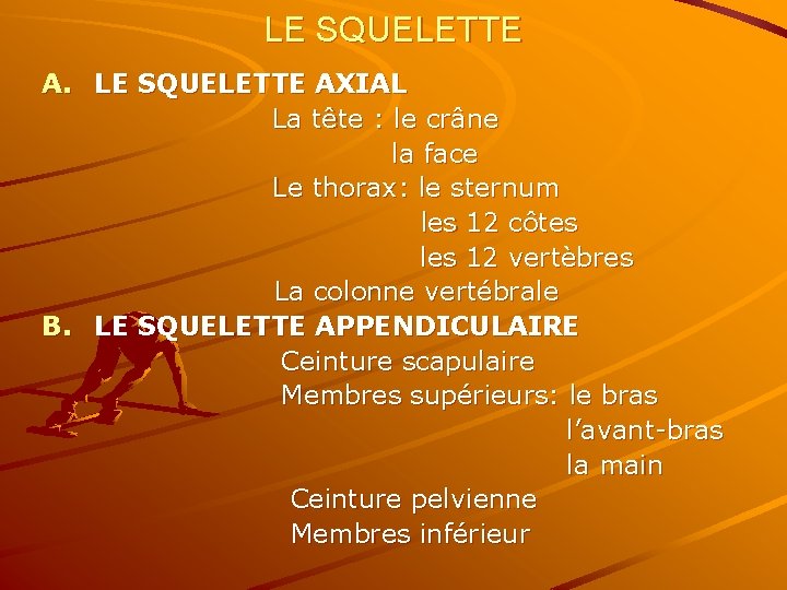 LE SQUELETTE AXIAL La tête : le crâne la face Le thorax: le sternum