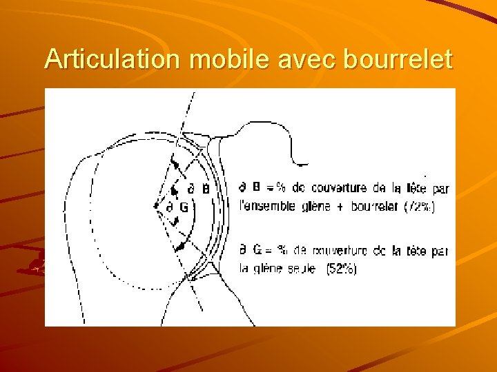 Articulation mobile avec bourrelet 