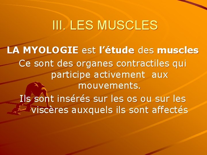 III. LES MUSCLES LA MYOLOGIE est l’étude des muscles Ce sont des organes contractiles