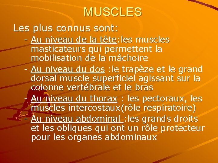 MUSCLES Les plus connus sont: - Au niveau de la tête: les muscles masticateurs