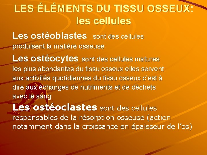 LES ÉLÉMENTS DU TISSU OSSEUX: les cellules Les ostéoblastes sont des cellules produisent la