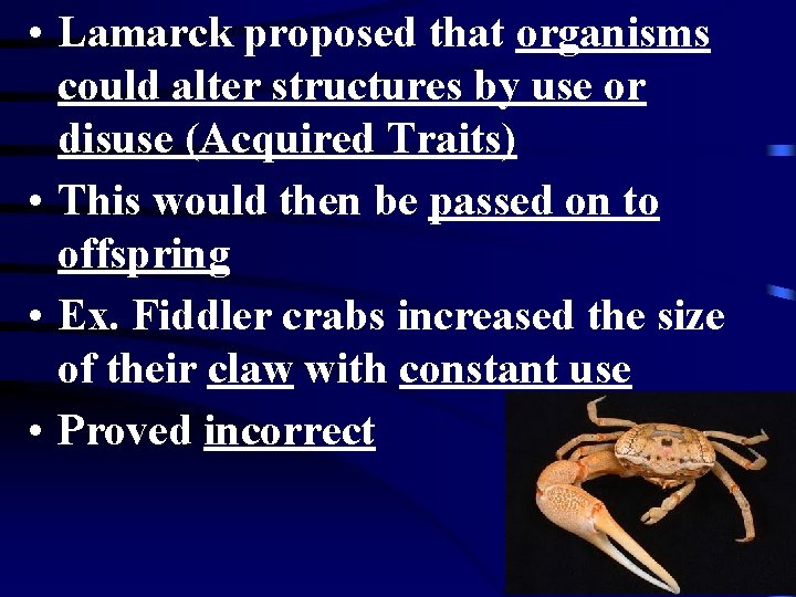  • Lamarck proposed that organisms could alter structures by use or disuse (Acquired