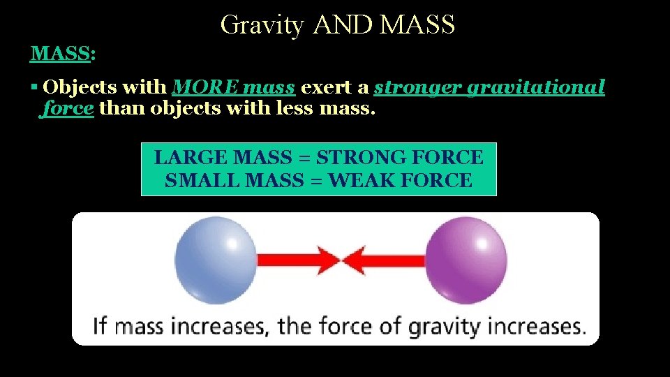 Gravity AND MASS: § Objects with MORE mass exert a stronger gravitational force than