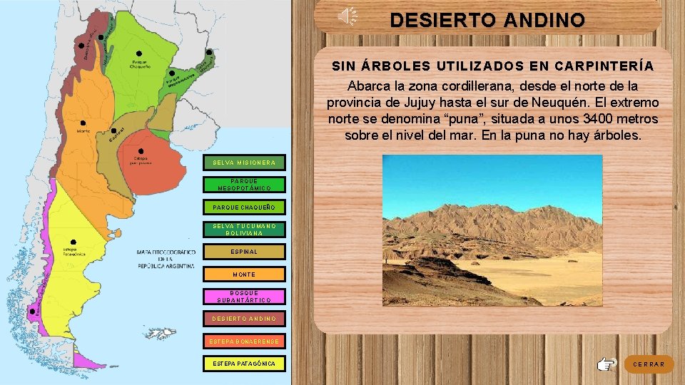 DESIERTO ANDINO SIN ÁRBOLES UTILIZADOS EN CARPINTERÍA Abarca la zona cordillerana, desde el norte DESIERTO ANDINO SIN ÁRBOLES UTILIZADOS EN CARPINTERÍA Abarca la zona cordillerana, desde el norte