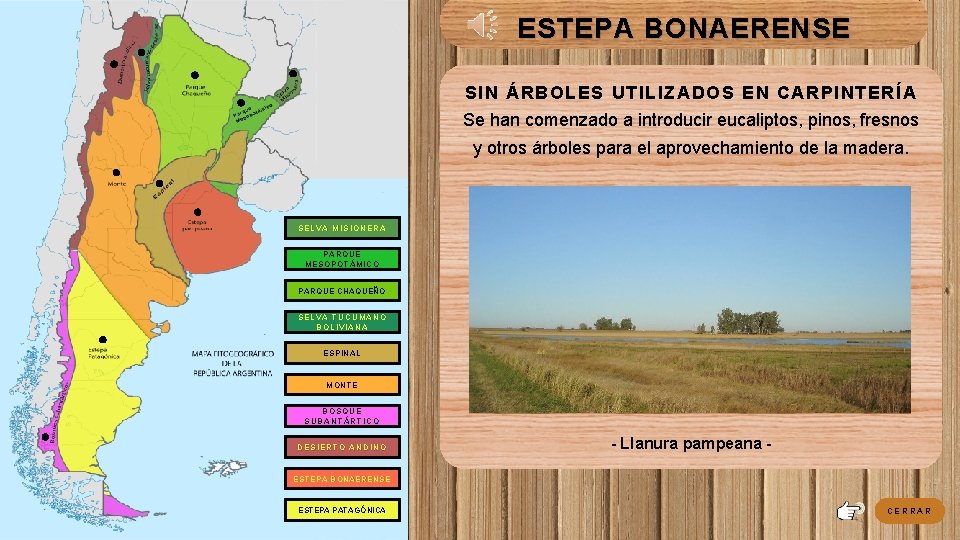 ESTEPA BONAERENSE SIN ÁRBOLES UTILIZADOS EN CARPINTERÍA Se han comenzado a introducir eucaliptos, pinos, ESTEPA BONAERENSE SIN ÁRBOLES UTILIZADOS EN CARPINTERÍA Se han comenzado a introducir eucaliptos, pinos,