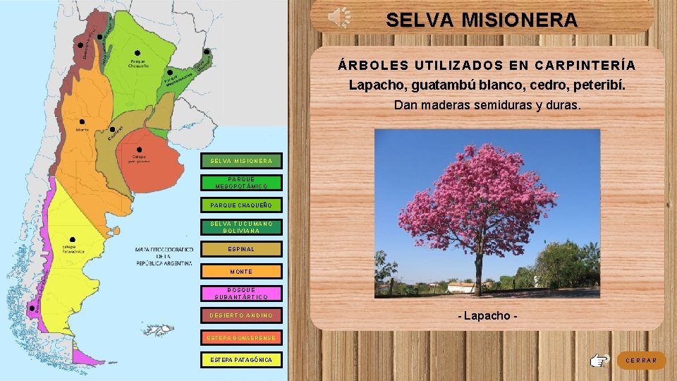 SELVA MISIONERA ÁRBOLES UTILIZADOS EN CARPINTERÍA Lapacho, guatambú blanco, cedro, peteribí. Dan maderas semiduras SELVA MISIONERA ÁRBOLES UTILIZADOS EN CARPINTERÍA Lapacho, guatambú blanco, cedro, peteribí. Dan maderas semiduras