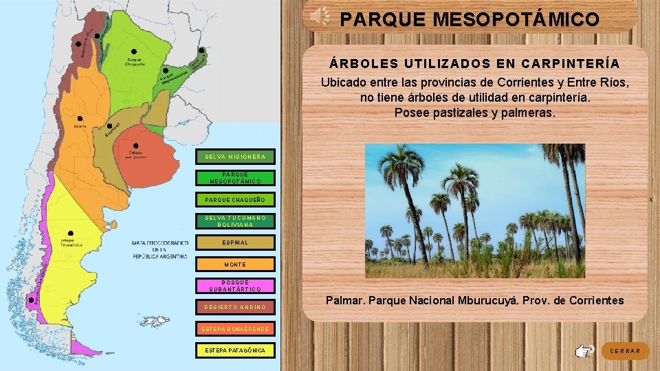 PARQUE MESOPOTÁMICO ÁRBOLES UTILIZADOS EN CARPINTERÍA Ubicado entre las provincias de Corrientes y Entre PARQUE MESOPOTÁMICO ÁRBOLES UTILIZADOS EN CARPINTERÍA Ubicado entre las provincias de Corrientes y Entre