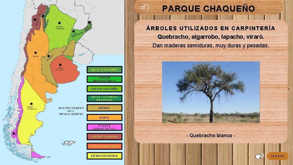 PARQUE CHAQUEÑO ÁRBOLES UTILIZADOS EN CARPINTERÍA Quebracho, algarrobo, lapacho, viraró. Dan maderas semiduras, muy PARQUE CHAQUEÑO ÁRBOLES UTILIZADOS EN CARPINTERÍA Quebracho, algarrobo, lapacho, viraró. Dan maderas semiduras, muy
