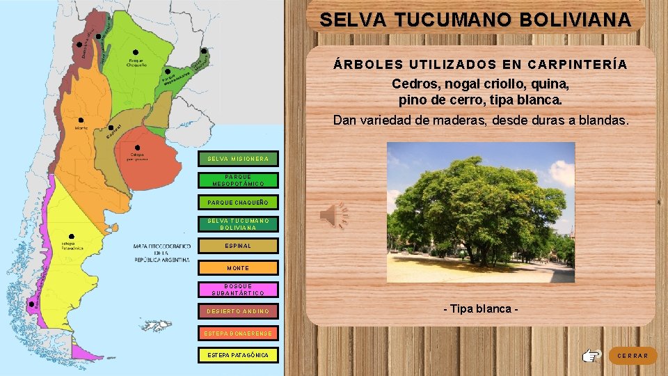 SELVA TUCUMANO BOLIVIANA ÁRBOLES UTILIZADOS EN CARPINTERÍA Cedros, nogal criollo, quina, pino de cerro, SELVA TUCUMANO BOLIVIANA ÁRBOLES UTILIZADOS EN CARPINTERÍA Cedros, nogal criollo, quina, pino de cerro,
