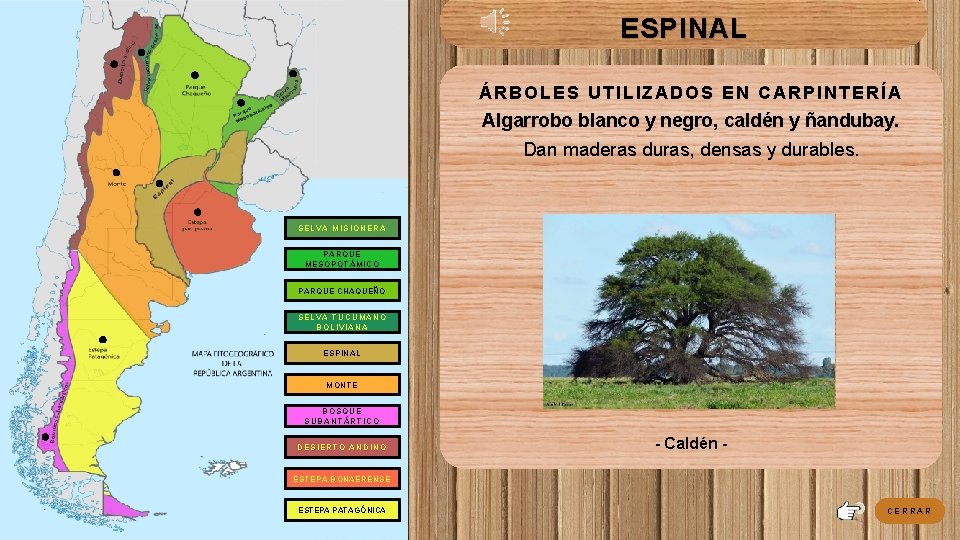 ESPINAL ÁRBOLES UTILIZADOS EN CARPINTERÍA Algarrobo blanco y negro, caldén y ñandubay. Dan maderas ESPINAL ÁRBOLES UTILIZADOS EN CARPINTERÍA Algarrobo blanco y negro, caldén y ñandubay. Dan maderas