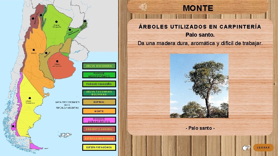 MONTE ÁRBOLES UTILIZADOS EN CARPINTERÍA Palo santo. Da una madera dura, aromática y difícil MONTE ÁRBOLES UTILIZADOS EN CARPINTERÍA Palo santo. Da una madera dura, aromática y difícil