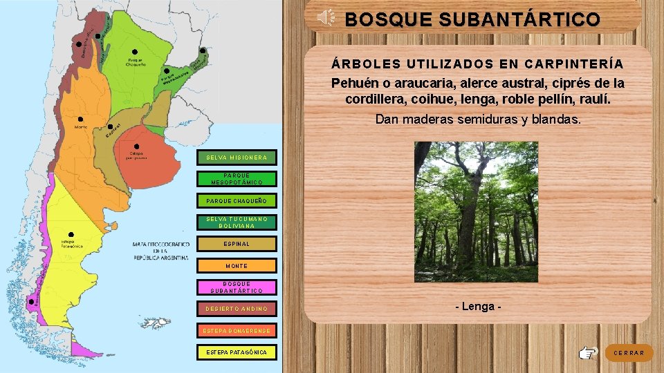 BOSQUE SUBANTÁRTICO ÁRBOLES UTILIZADOS EN CARPINTERÍA Pehuén o araucaria, alerce austral, ciprés de la BOSQUE SUBANTÁRTICO ÁRBOLES UTILIZADOS EN CARPINTERÍA Pehuén o araucaria, alerce austral, ciprés de la