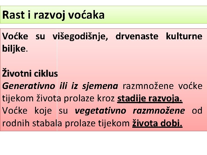 Rast i razvoj voćaka Voćke su višegodišnje, drvenaste kulturne biljke. Životni ciklus Generativno ili