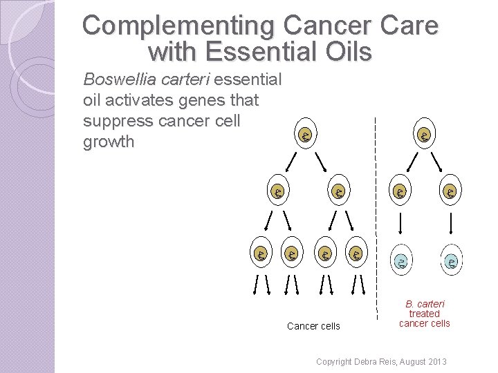 Complementing Cancer Care with Essential Oils Boswellia carteri essential oil activates genes that suppress