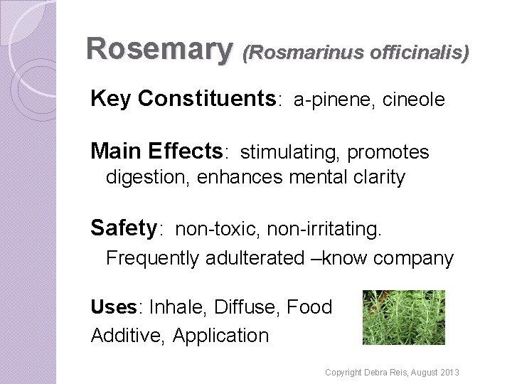 Rosemary (Rosmarinus officinalis) Key Constituents: a-pinene, cineole Main Effects: stimulating, promotes digestion, enhances mental