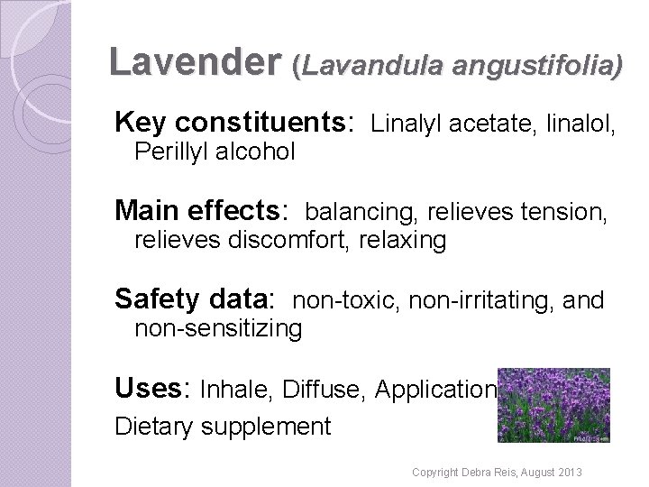 Lavender (Lavandula angustifolia) Key constituents: Linalyl acetate, linalol, Perillyl alcohol Main effects: balancing, relieves