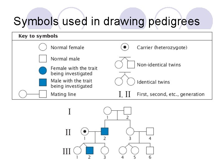 Symbols used in drawing pedigrees 