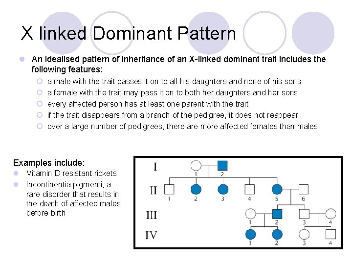 X linked Dominant Pattern l An idealised pattern of inheritance of an X-linked dominant