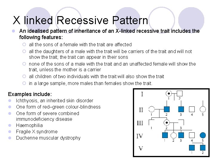 X linked Recessive Pattern l An idealised pattern of inheritance of an X-linked recessive