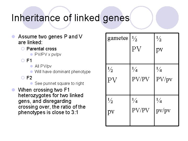 Inheritance of linked genes l Assume two genes P and V are linked: gametes