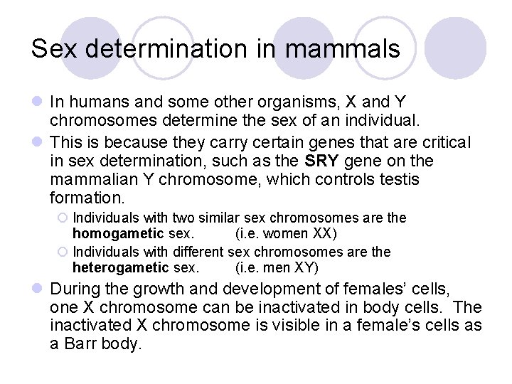 Sex determination in mammals l In humans and some other organisms, X and Y