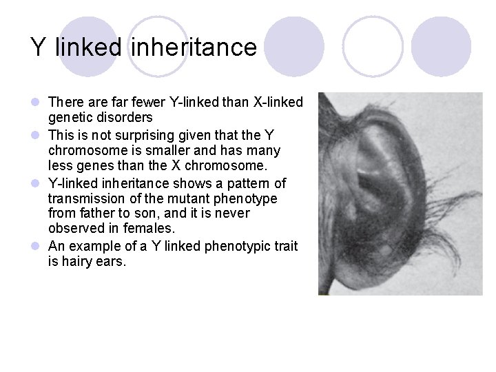 Y linked inheritance l There are far fewer Y-linked than X-linked genetic disorders l