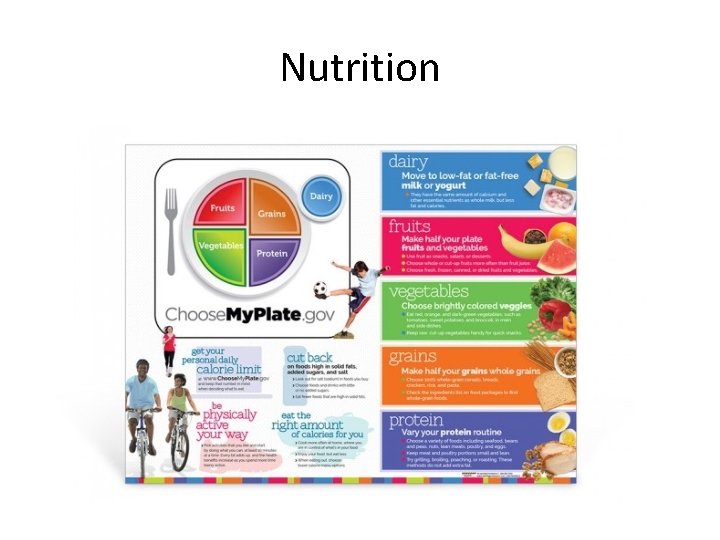 Nutrition Nutrition