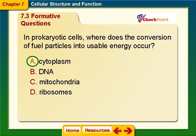 Chapter 7 Cellular Structure and Function 7. 3 Formative Questions In prokaryotic cells, where