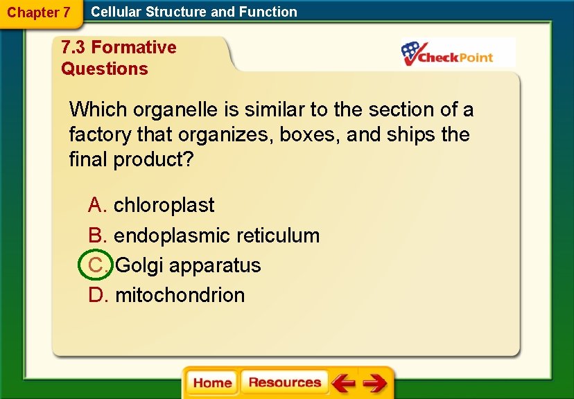 Chapter 7 Cellular Structure and Function 7. 3 Formative Questions Which organelle is similar