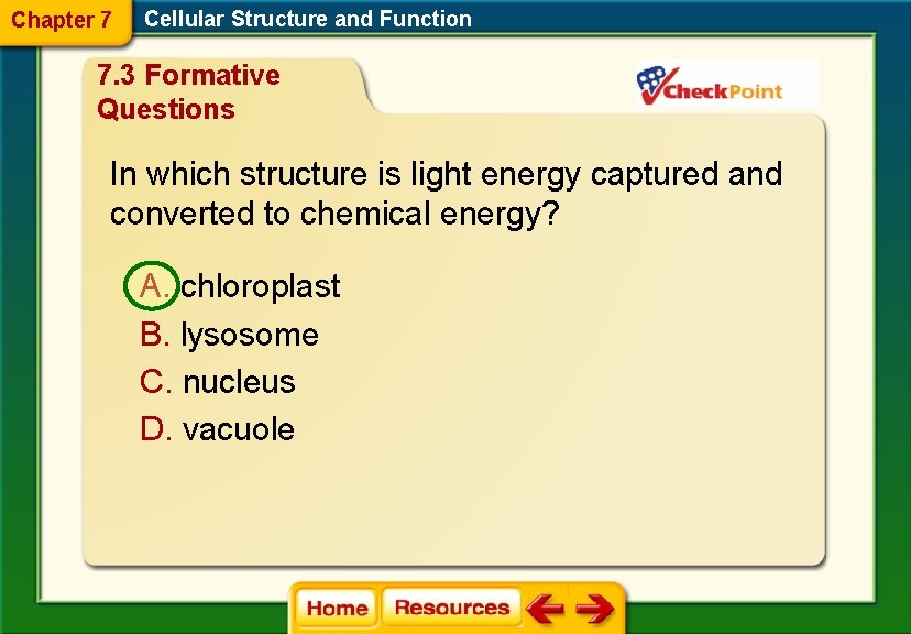 Chapter 7 Cellular Structure and Function 7. 3 Formative Questions In which structure is