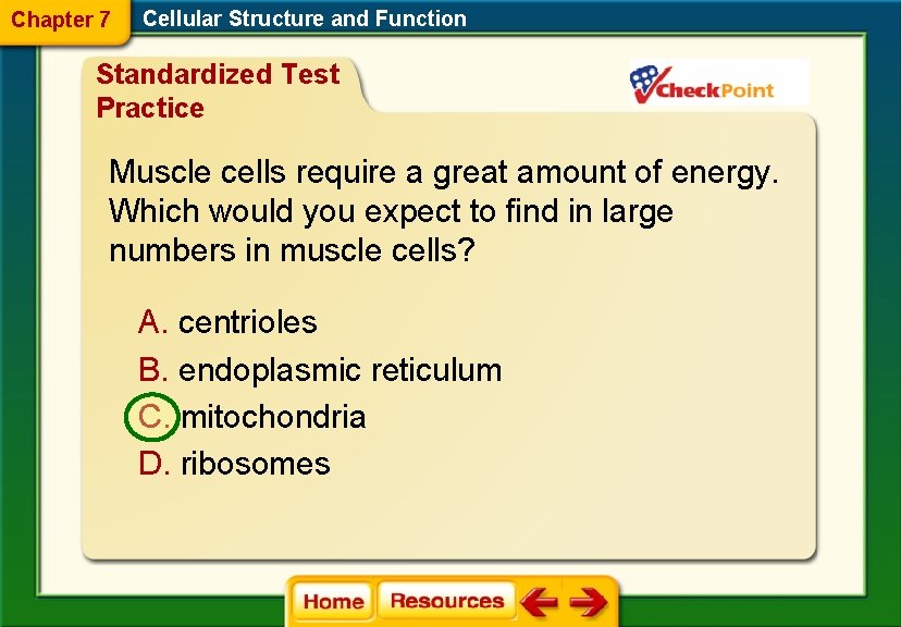 Chapter 7 Cellular Structure and Function Standardized Test Practice Muscle cells require a great
