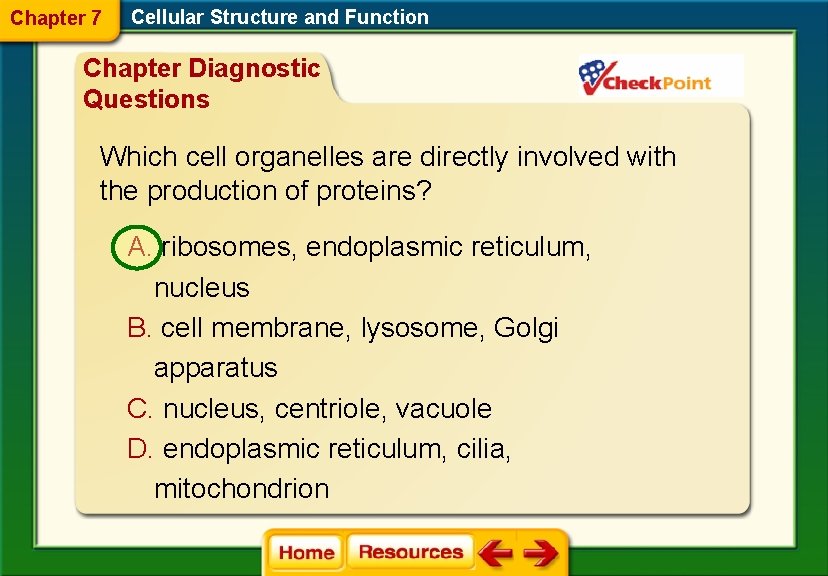 Chapter 7 Cellular Structure and Function Chapter Diagnostic Questions Which cell organelles are directly