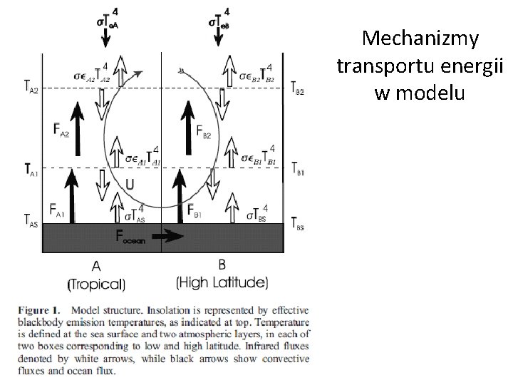 Mechanizmy transportu energii w modelu 