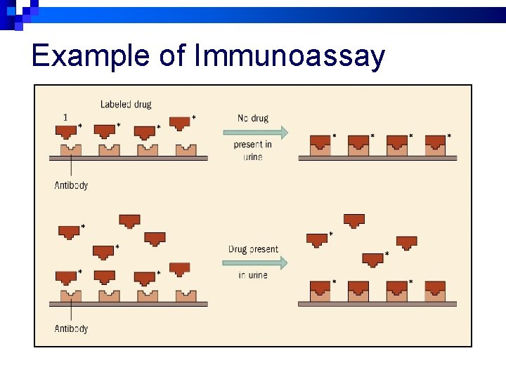 Example of Immunoassay 