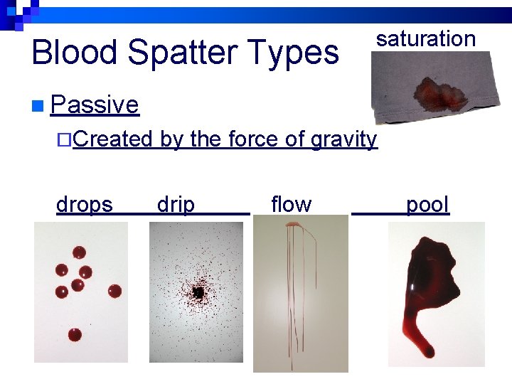 Blood Spatter Types saturation n Passive ¨Created by the force of gravity drops drip