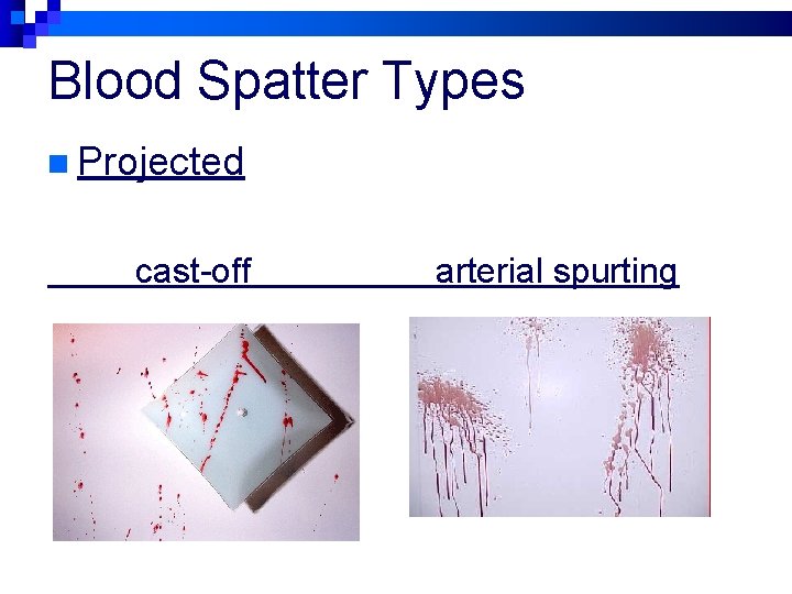 Blood Spatter Types n Projected cast-off arterial spurting 