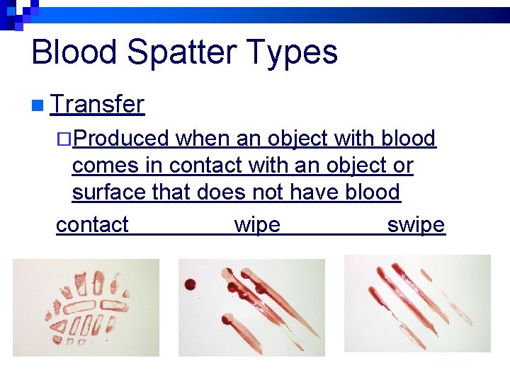 Blood Spatter Types n Transfer ¨Produced when an object with blood comes in contact