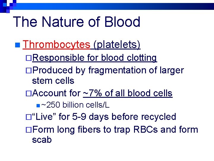 The Nature of Blood n Thrombocytes (platelets) ¨Responsible for blood clotting ¨Produced by fragmentation